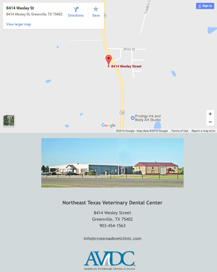 Northeast Texas Veterinary Dental Center 8414 Wesley Street Greenville, TX 75402 903-454-1563   info@crossroadsvetclinic.com