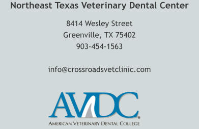 Northeast Texas Veterinary Dental Center 8414 Wesley Street Greenville, TX 75402 903-454-1563   info@crossroadsvetclinic.com